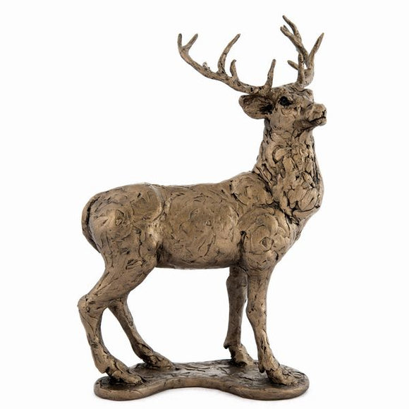 Red Deer - Stag