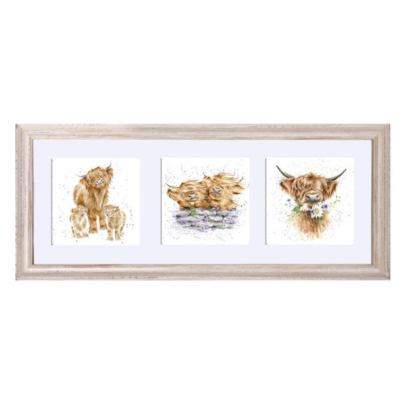 A Trio  of Highland Cows In a White Frame