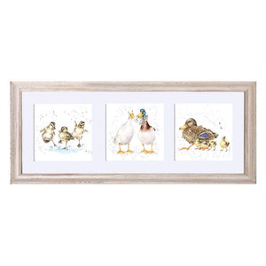 A Trio of Ducks In a White Frame