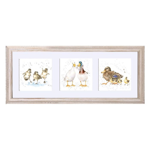 A Trio of Ducks In a White Frame