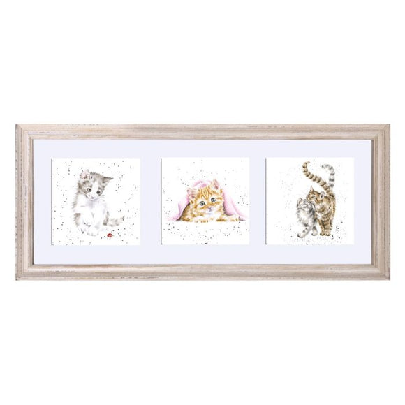 A Trio of Cats In a White Frame