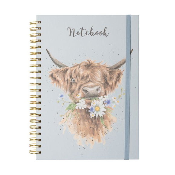 A4 Cow Notebook - Daisy Coo (Blue)