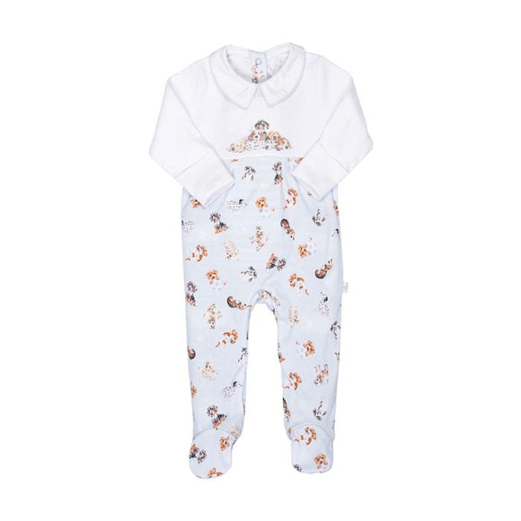 Little Paws Placement Print Babygrow 9-12 months