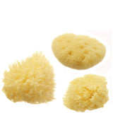 Cosmetic Sea Sponge Set