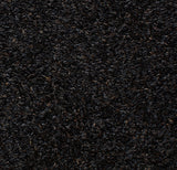 Nyger Seed (Select bag size)