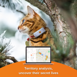 Weenect cat GPS tracker