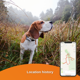 Weenect dog GPS tracker