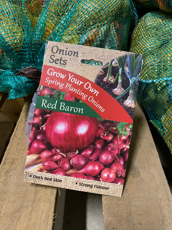 Red Barons Onions Sets