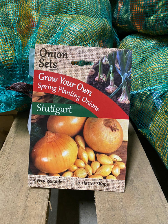 Stuttgart Onions Sets